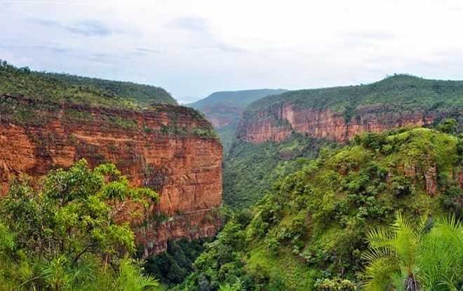 Tirupati Balaji Darshan ticket agent