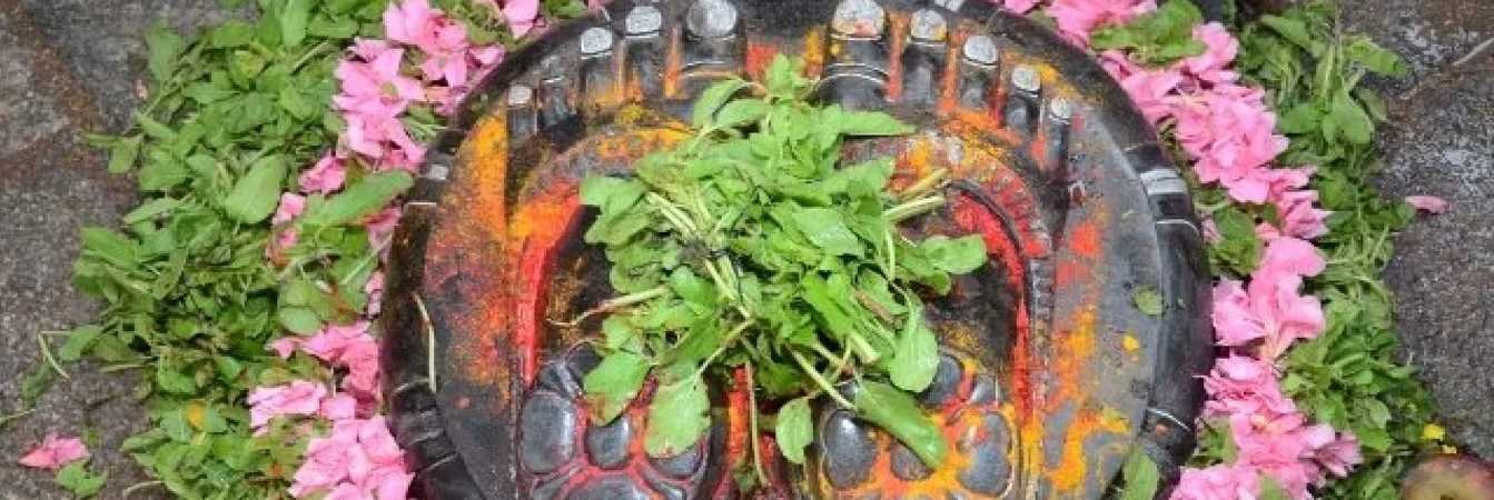 srivari temple tour packages