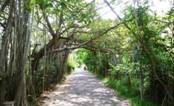 famous temples in adyar